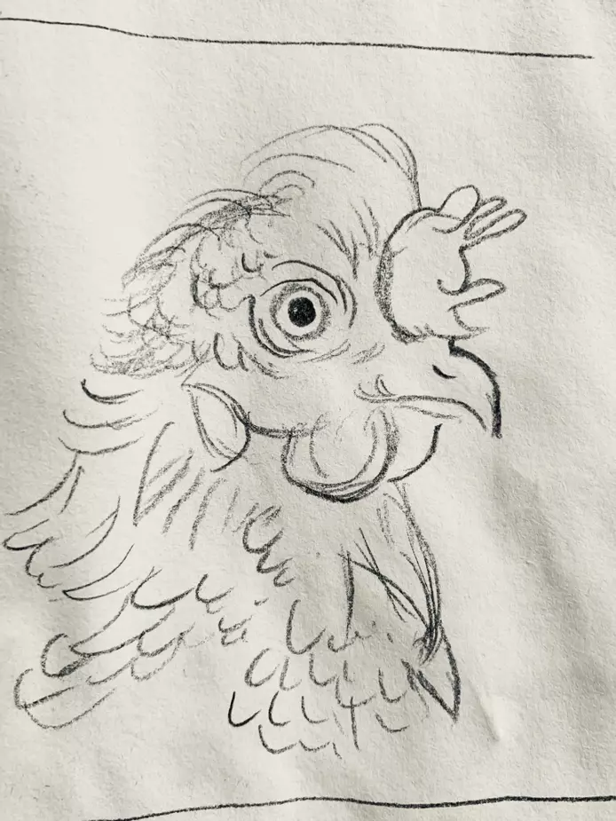 A line drawn head of a chicken, showing some of the feathers . The chicken is turned to the side. 